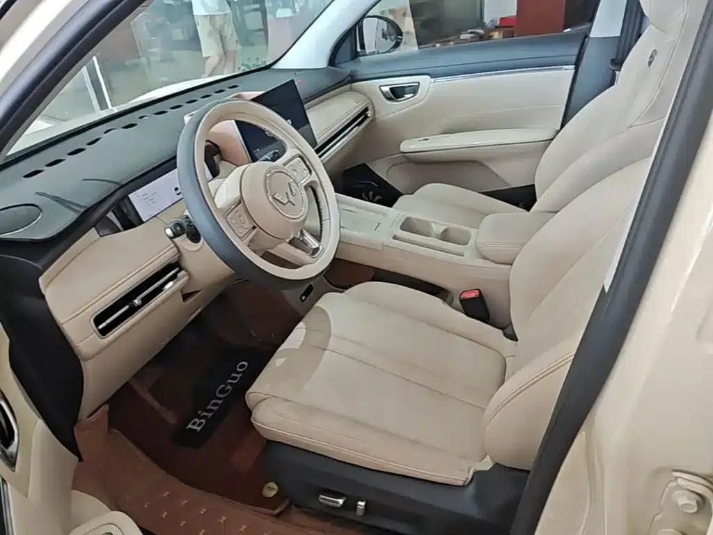 Bingo S 2025 Flagship Model 325km — миниатюра 15