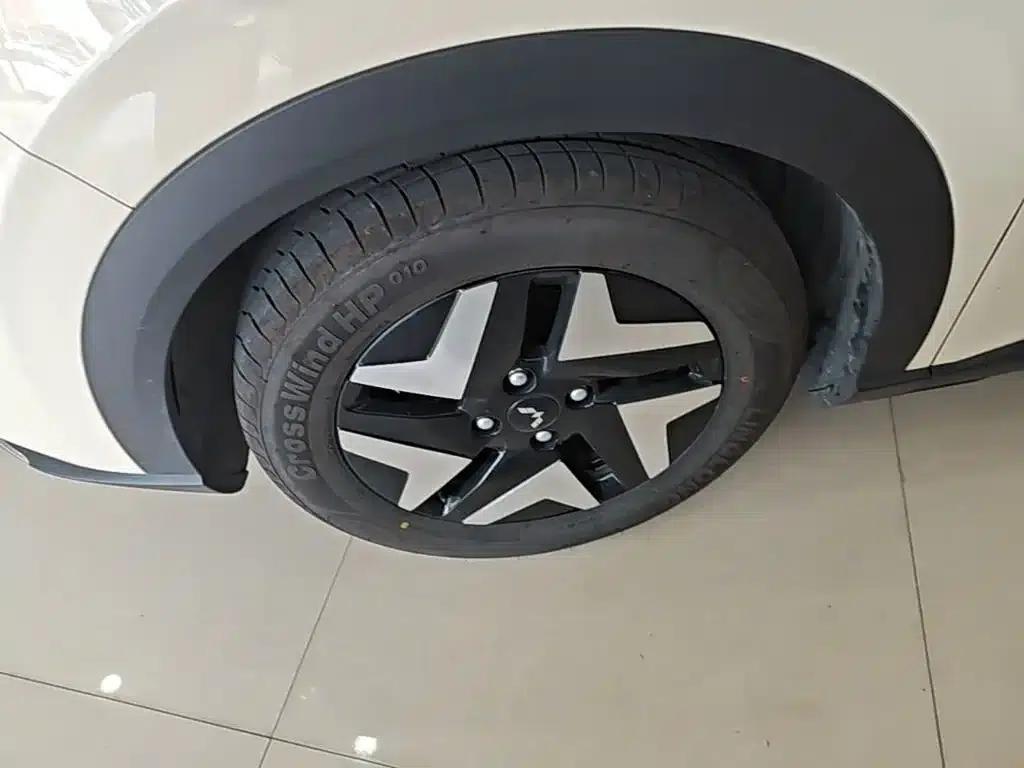 Bingo S 2025 Flagship Model 325km — миниатюра 23