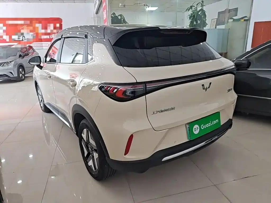 Bingo S 2025 Flagship Model 325km — миниатюра 5