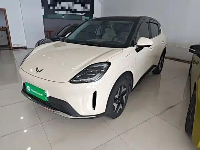 Bingo S 2025 Flagship Model 325km