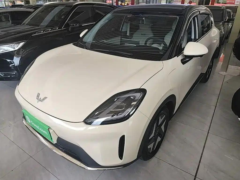 Bingo S 2025 Flagship Model 325km — миниатюра 1