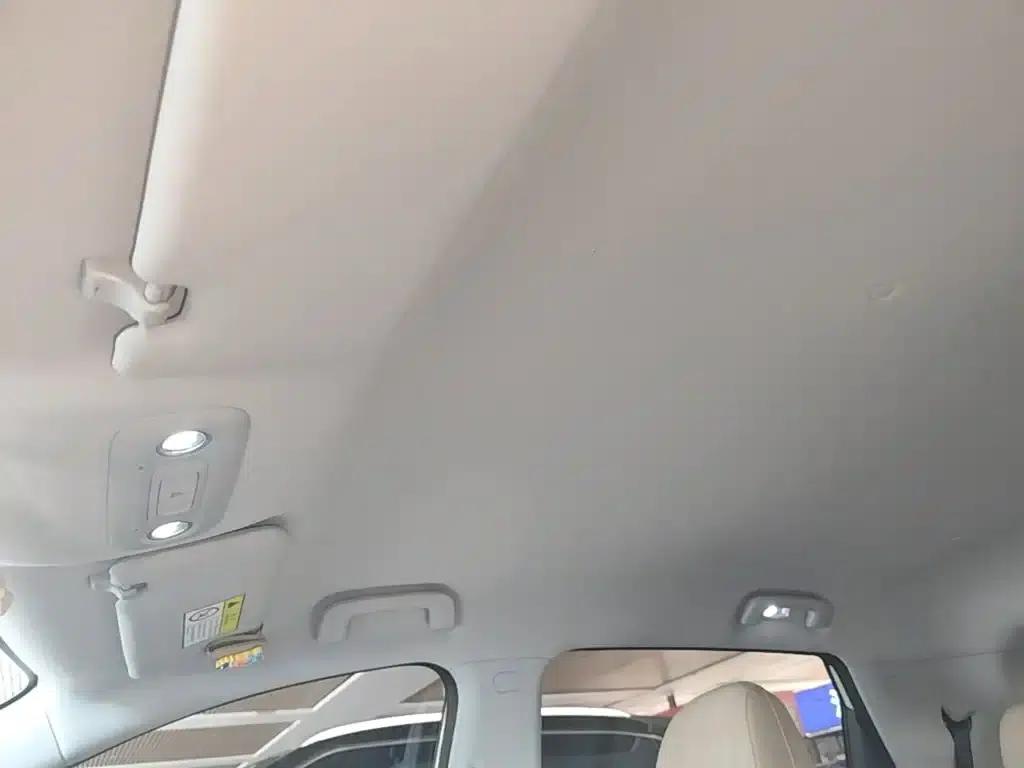 Bingo S 2025 Flagship Model 325km — миниатюра 18