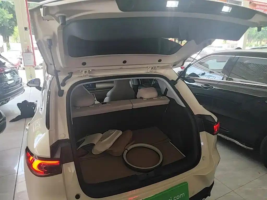 Bingo S 2025 Flagship Model 325km — миниатюра 19