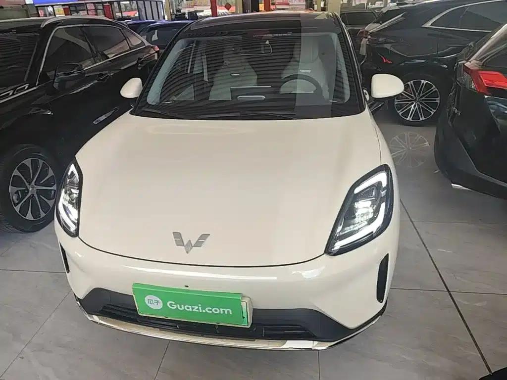 Bingo S 2025 Flagship Model 325km — миниатюра 3