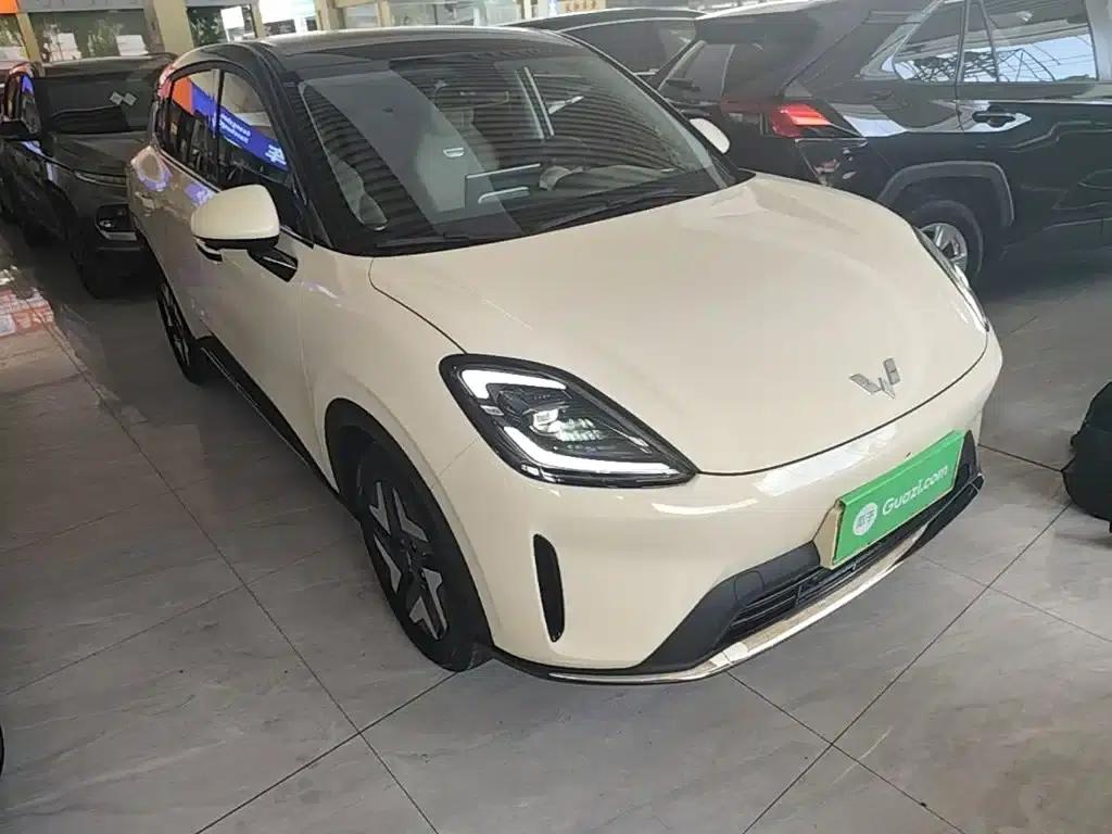 Bingo S 2025 Flagship Model 325km — миниатюра 4
