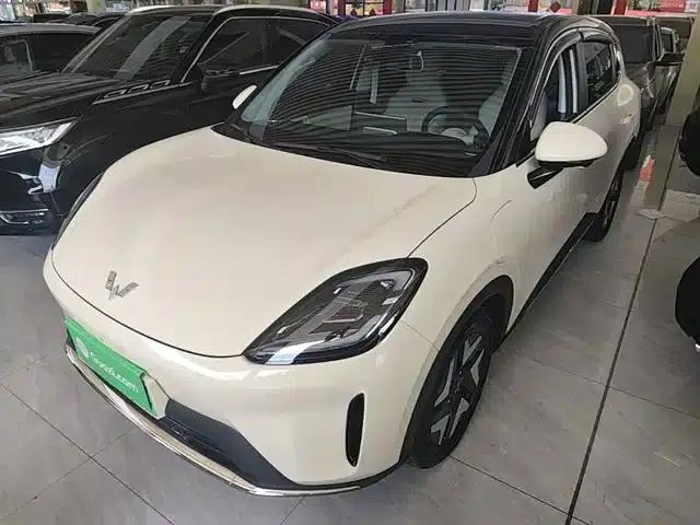 Bingo S 2025 Flagship Model 325km