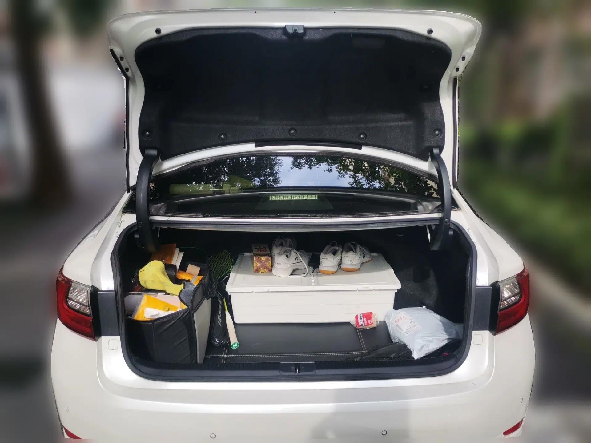 Lexus ES 2015 200 Elite Edition — миниатюра 19