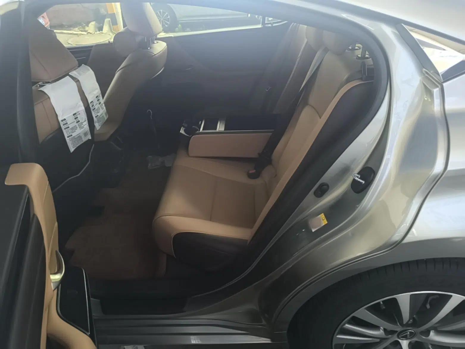 Lexus ES 2018 200 Excellence Edition China V Standard — миниатюра 20