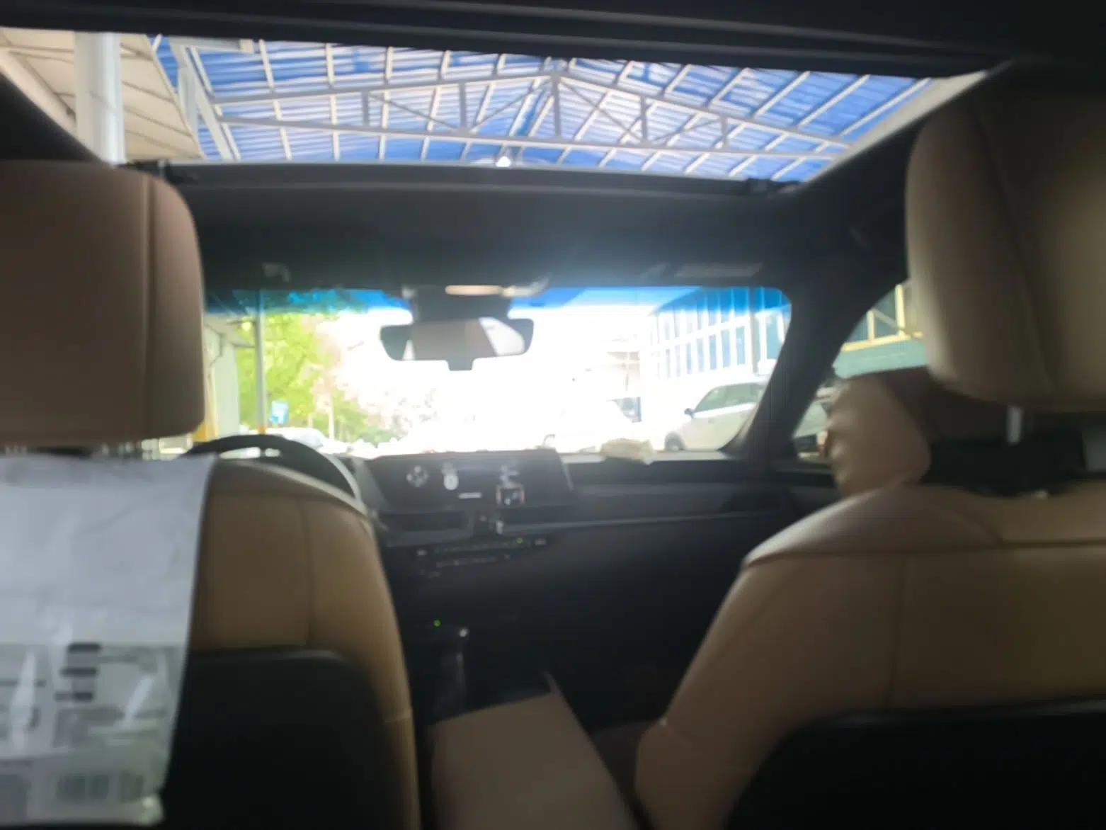 Lexus ES 2018 200 Excellence Edition China V Standard — миниатюра 21