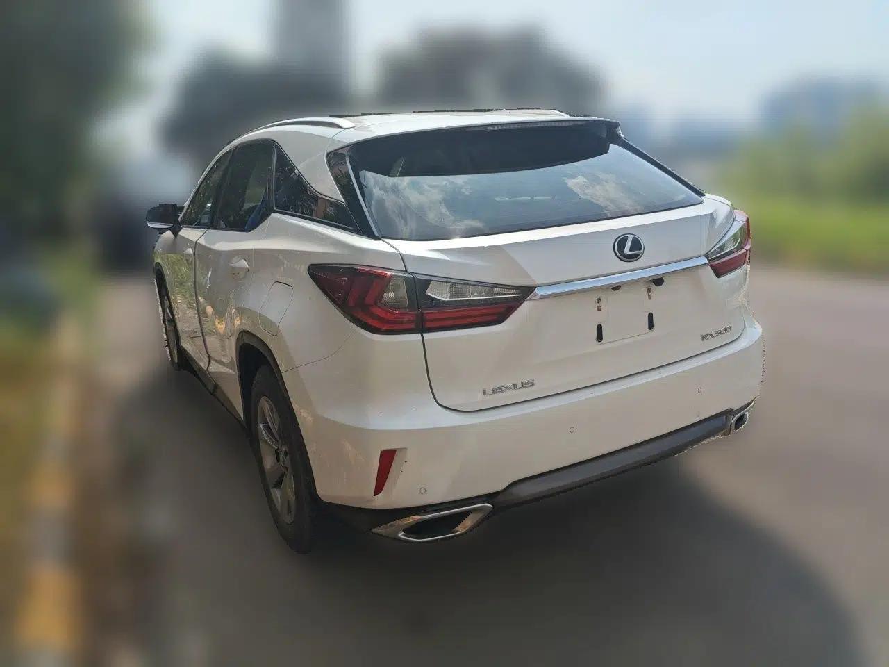 Lexus RX 2016 300 Two-Wheel Drive Elite Version China V Standard — миниатюра 4