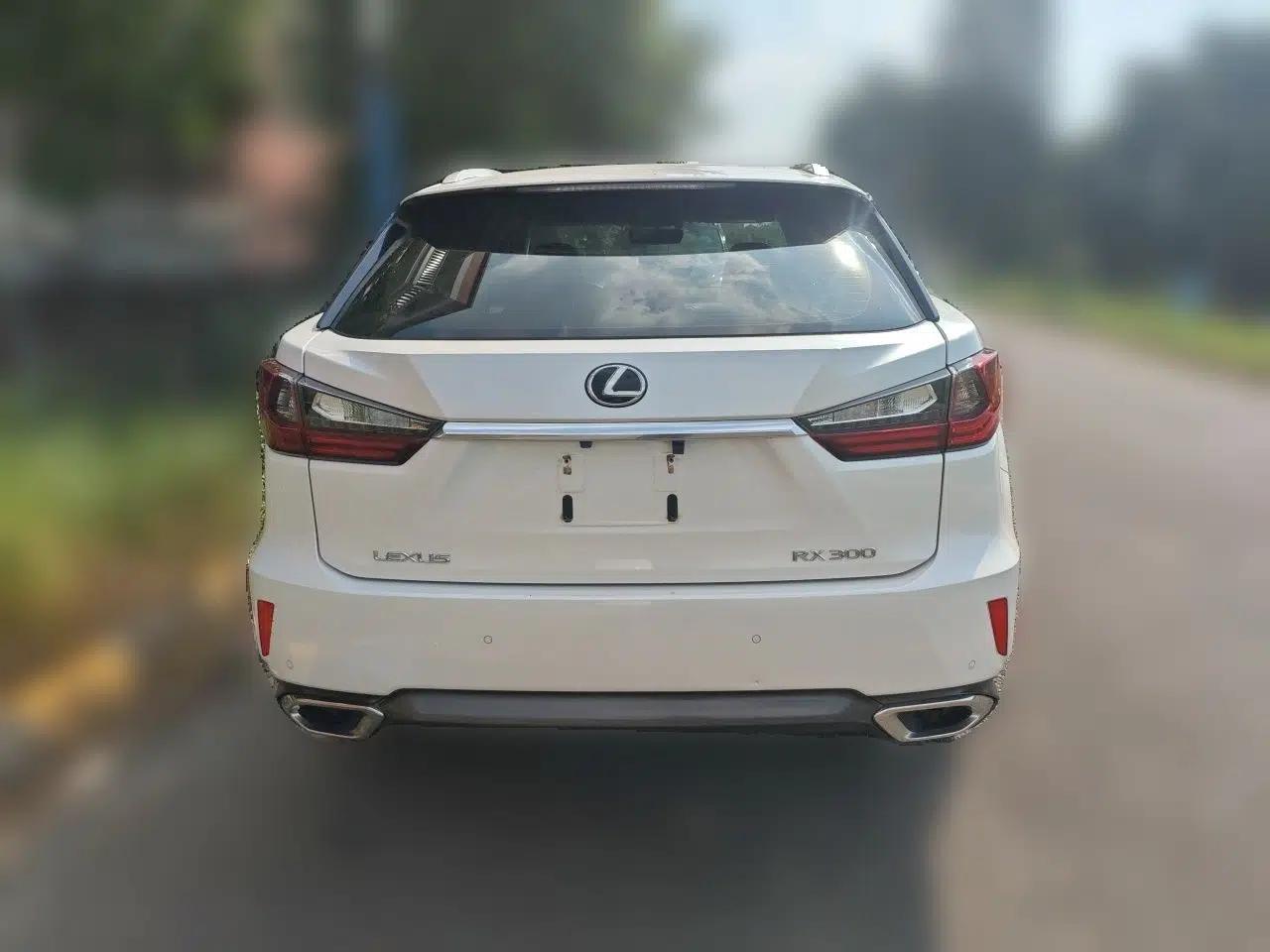 Lexus RX 2016 300 Two-Wheel Drive Elite Version China V Standard — миниатюра 5