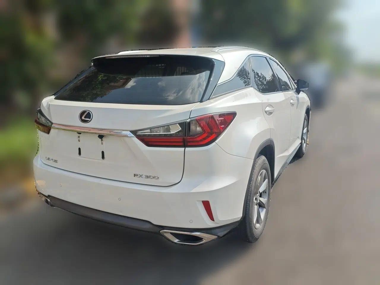 Lexus RX 2016 300 Two-Wheel Drive Elite Version China V Standard — миниатюра 6