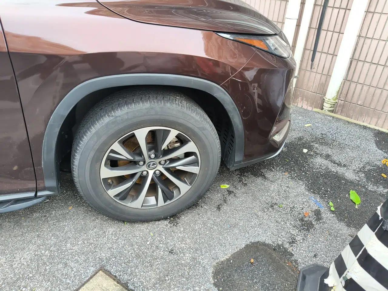 Lexus RX 2020 300 Two-Wheel Drive Elite Edition China VI Standard — миниатюра 8