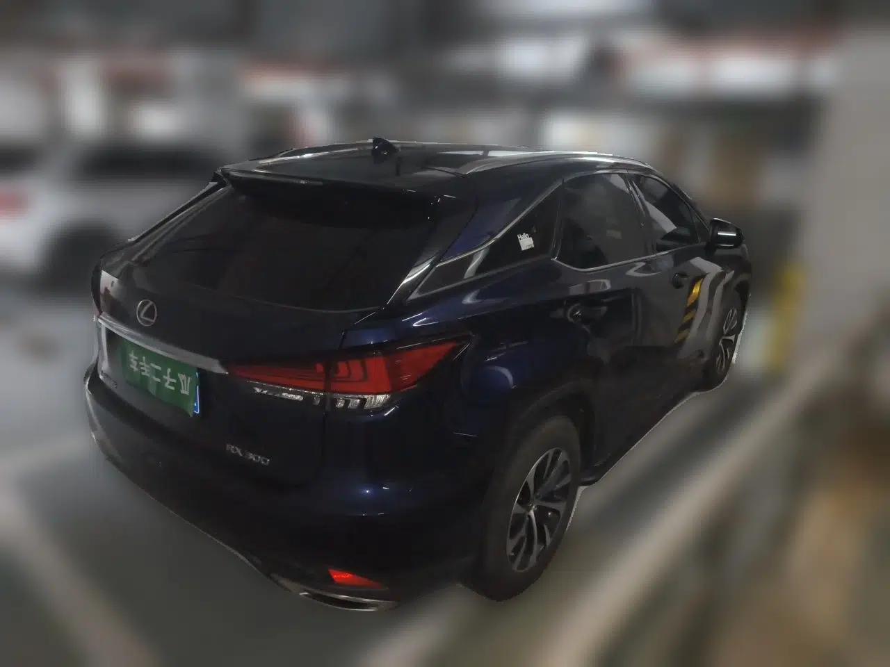 Lexus RX 2020 Revised Version 300 Two-Wheel Drive Elite Edition — миниатюра 6