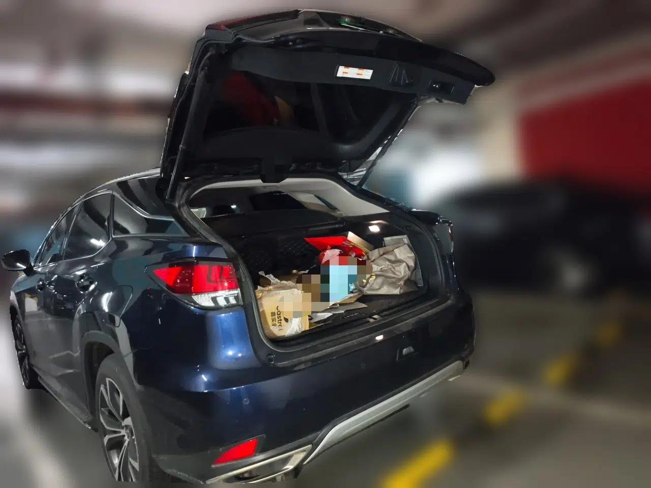 Lexus RX 2020 Facelifted 300 4x4 Elegant Edition — миниатюра 16