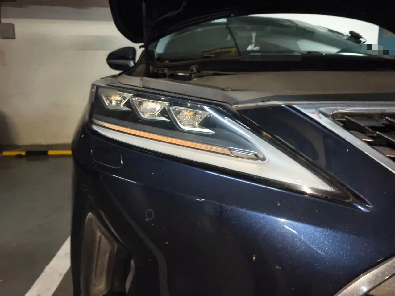Lexus RX 2020 Facelifted 300 4x4 Elegant Edition — миниатюра 7