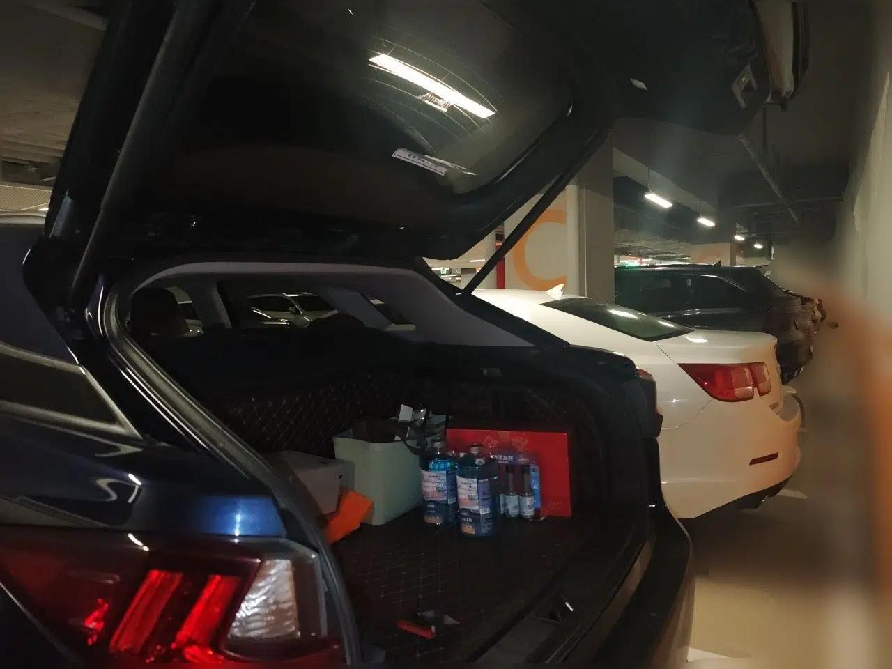Lexus RX 2016 300 Two-Wheel Drive Comfort Edition China V Standard — миниатюра 19