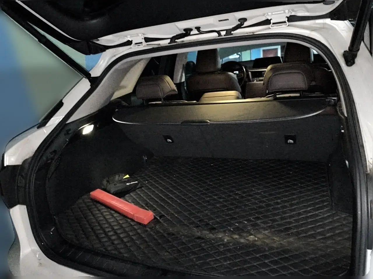 Lexus RX 2020 300 4x4 Elegant Edition China VI — миниатюра 19