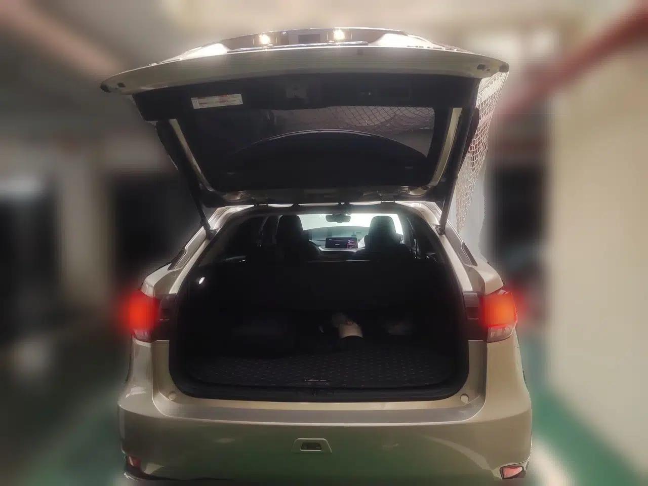 Lexus RX 2020 300 4x4 Elegant Edition China VI — миниатюра 19