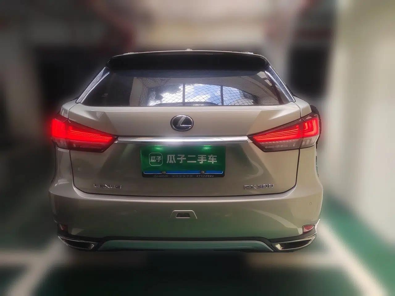 Lexus RX 2020 300 4x4 Elegant Edition China VI — миниатюра 5