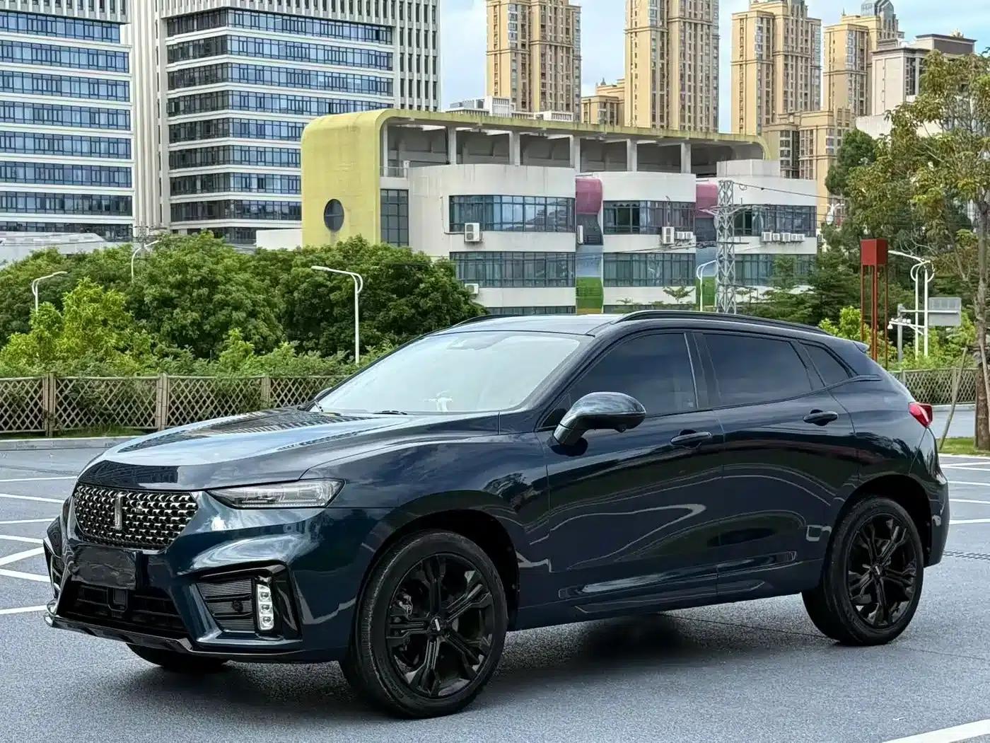Weipai VV7 2020 2.0T Flagship Edition — миниатюра 1