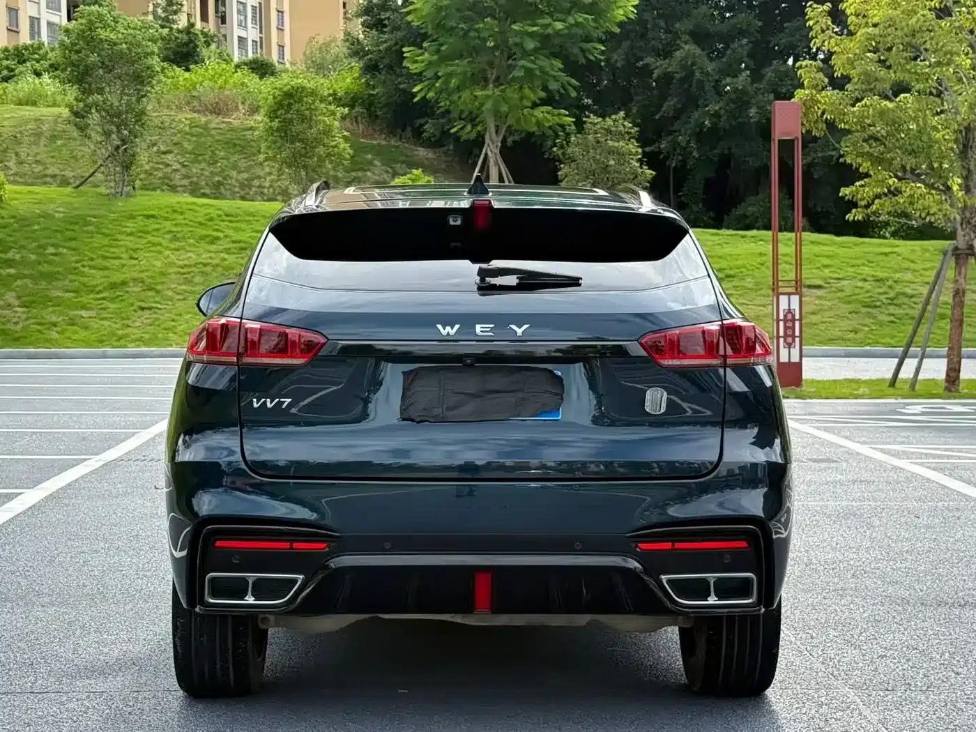 Weipai VV7 2020 2.0T Flagship Edition — миниатюра 8