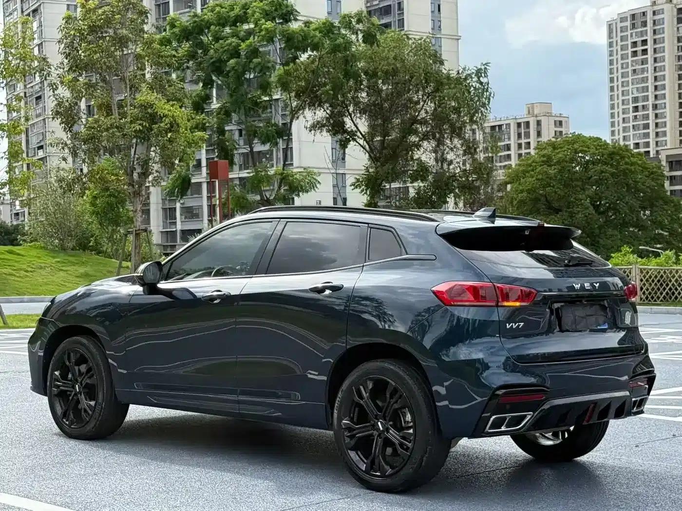 Weipai VV7 2020 2.0T Flagship Edition — миниатюра 9