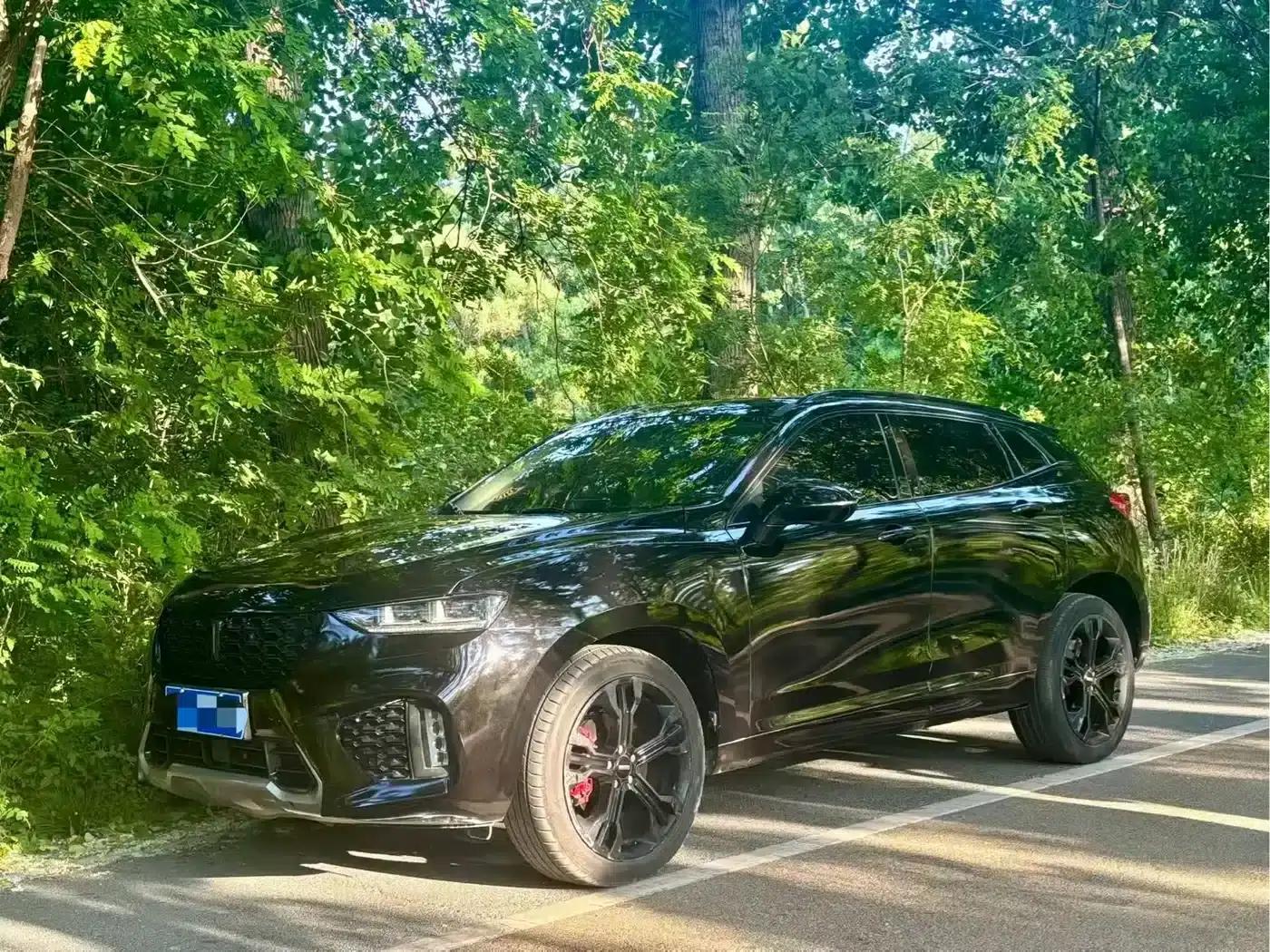 Weipai VV7 2017 2.0T Flagship Edition — миниатюра 1