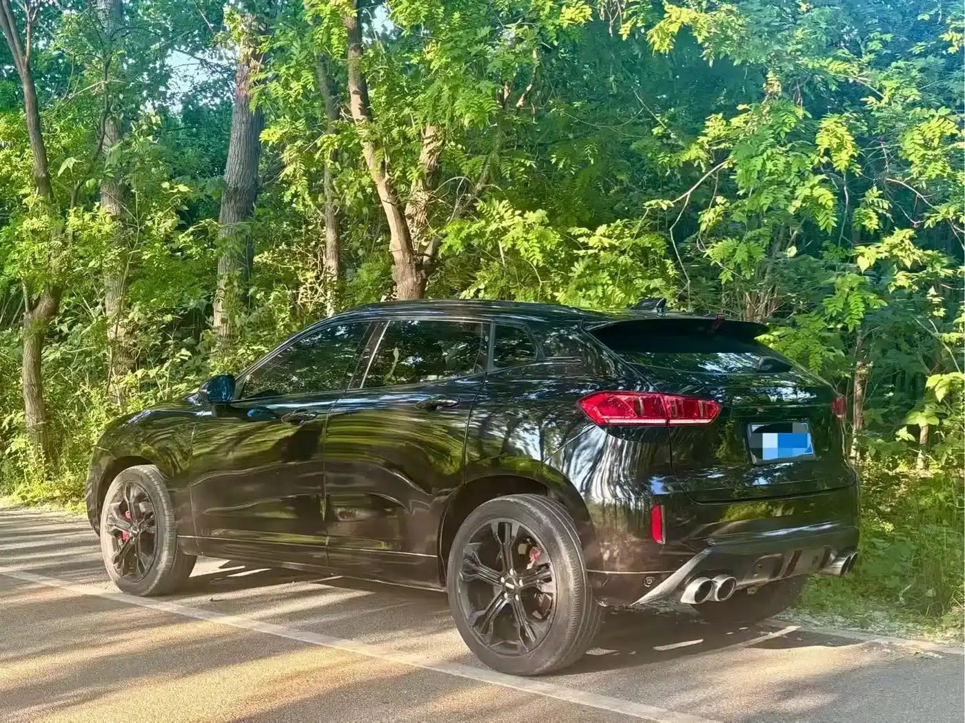 Weipai VV7 2017 2.0T Flagship Edition — миниатюра 4