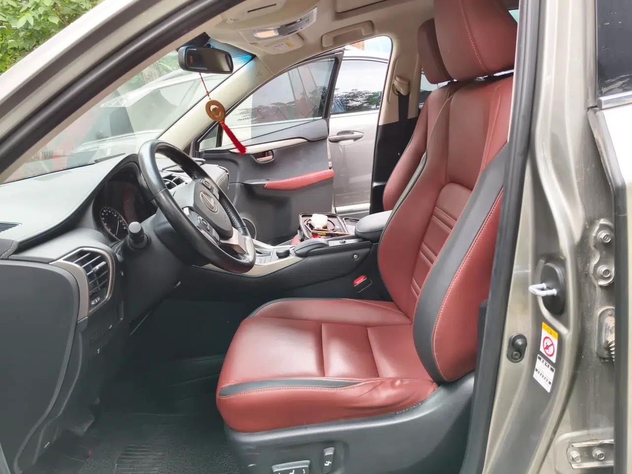 Lexus NX 2015 200 All-Wheel Drive Fēngshàng Edition — миниатюра 15