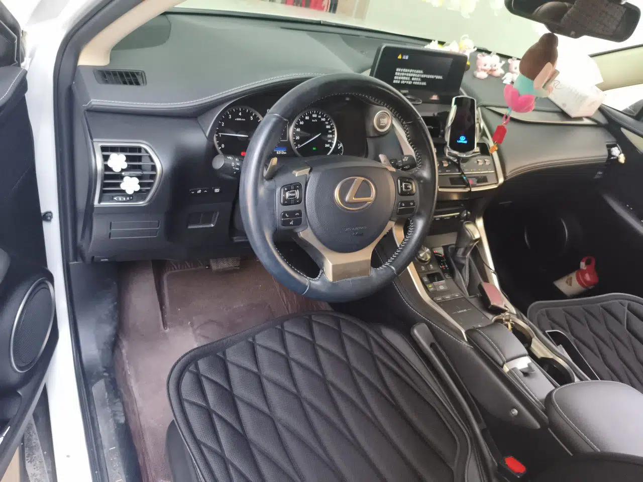 Lexus NX 2018 200 Front-Wheel-Drive X-Trail Version China V Standard — миниатюра 9