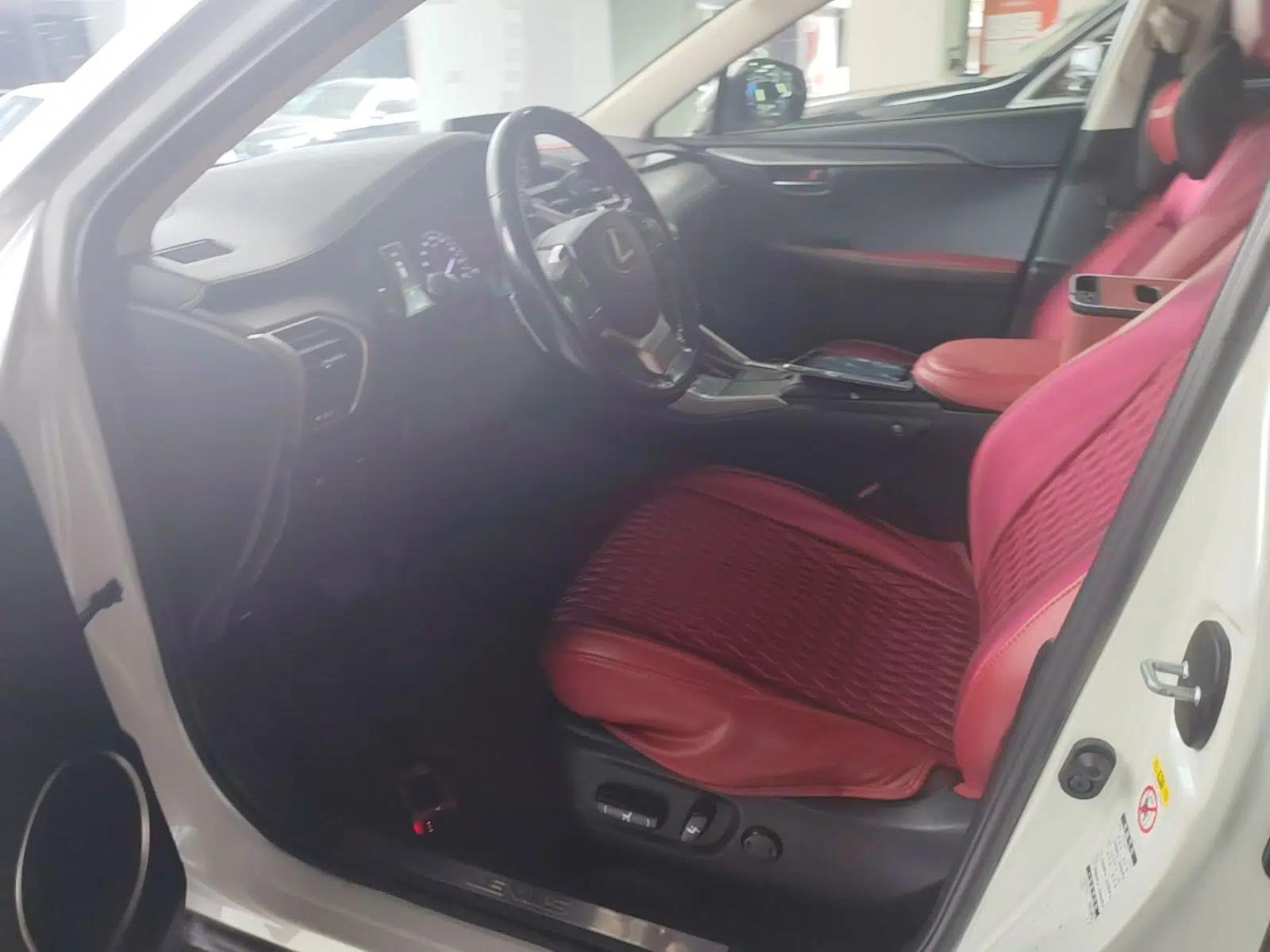 Lexus NX 2017 300h Front-Drive FENGSHANG Edition — миниатюра 17