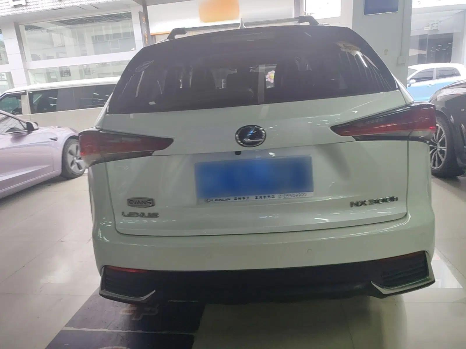 Lexus NX 2017 300h Front-Drive FENGSHANG Edition — миниатюра 5