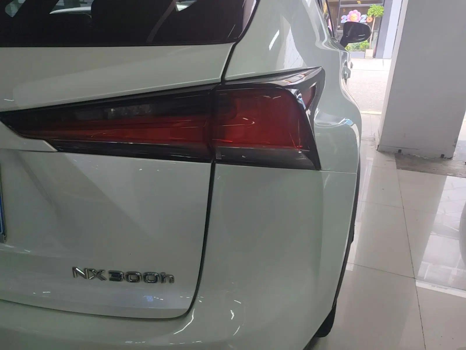 Lexus NX 2017 300h Front-Drive FENGSHANG Edition — миниатюра 9