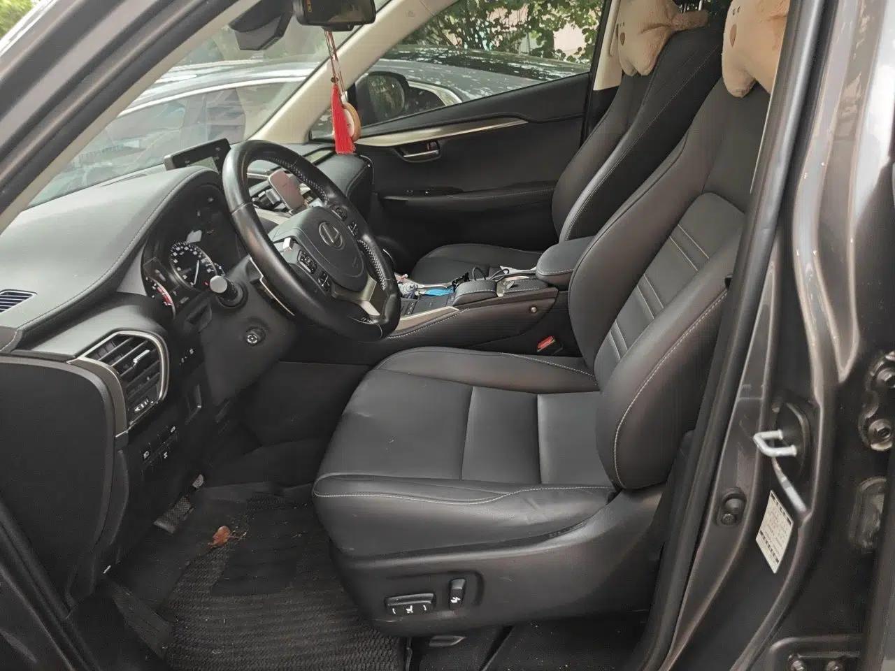 Lexus NX 2020 200 All-Wheel Drive Fēngshàng Version China VI Standard — миниатюра 15