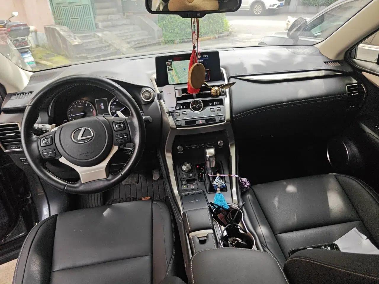 Lexus NX 2020 200 All-Wheel Drive Fēngshàng Version China VI Standard — миниатюра 9