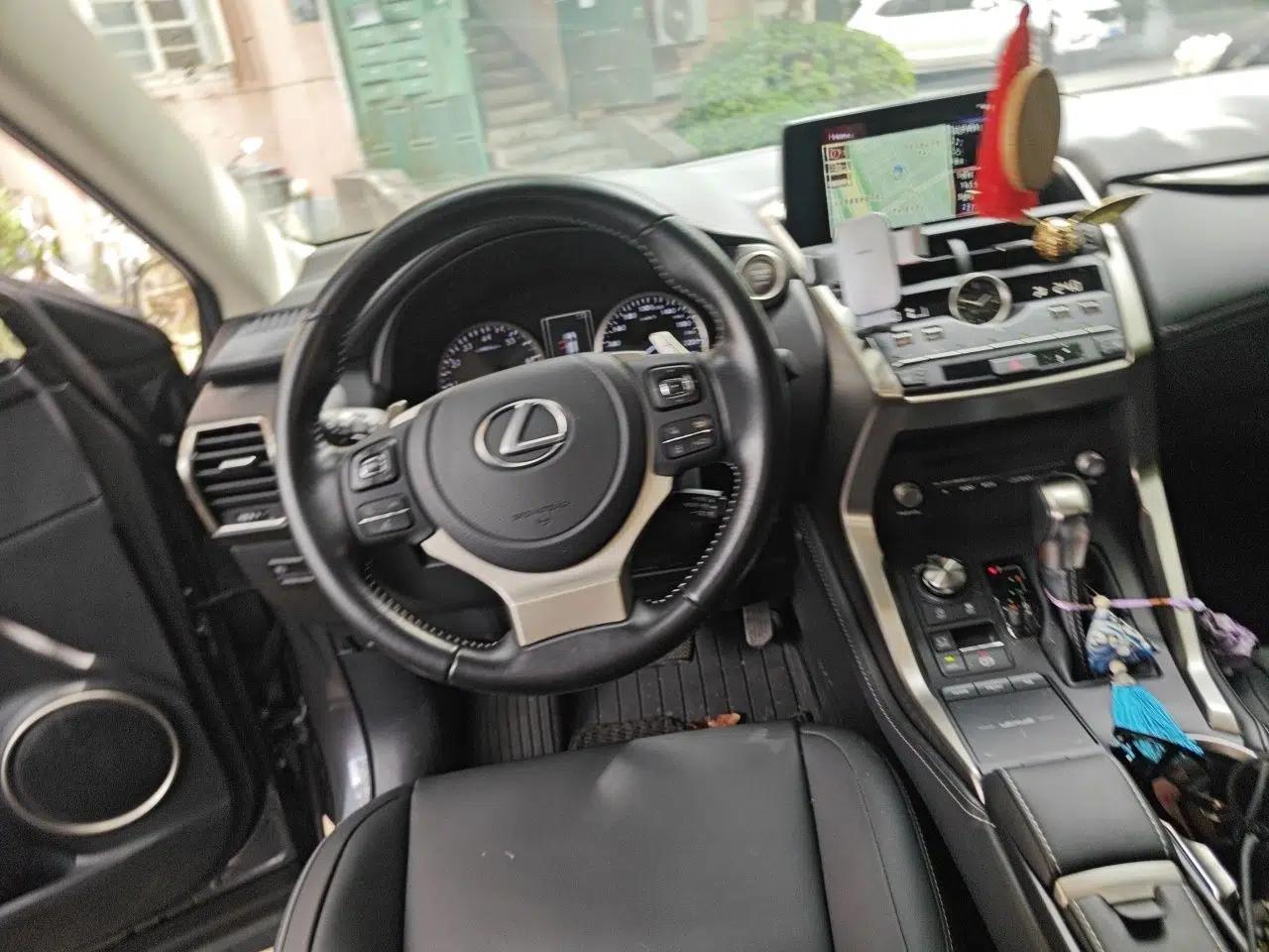 Lexus NX 2020 200 All-Wheel Drive Fēngshàng Version China VI Standard — миниатюра 10