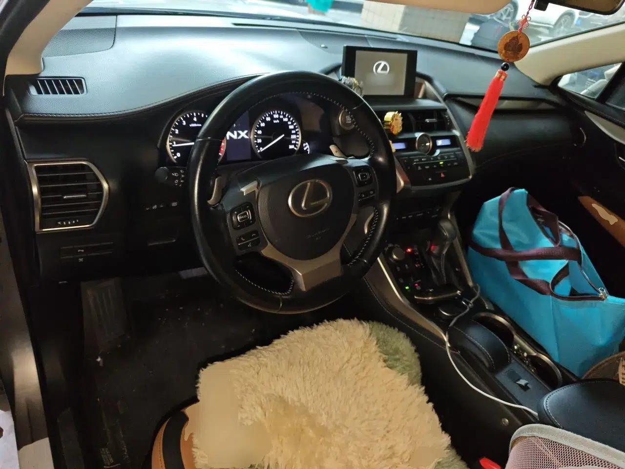 Lexus NX 2015 200T All-Wheel-Drive Fēngshàng Edition — миниатюра 9