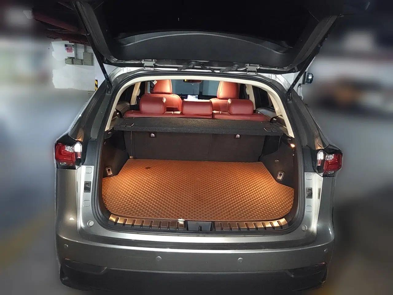 Lexus NX 2015 200 Front-Wheel Drive X-Trail SE Edition — миниатюра 19