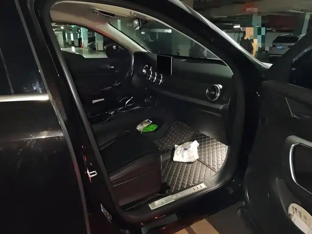 Weipai VV5 2020 1.5T 2WD Avantgarde — миниатюра 21