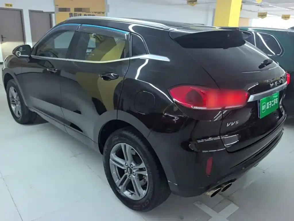 Weipai VV5 2019 2.0T Two-Wheel Drive Final Edition — миниатюра 5
