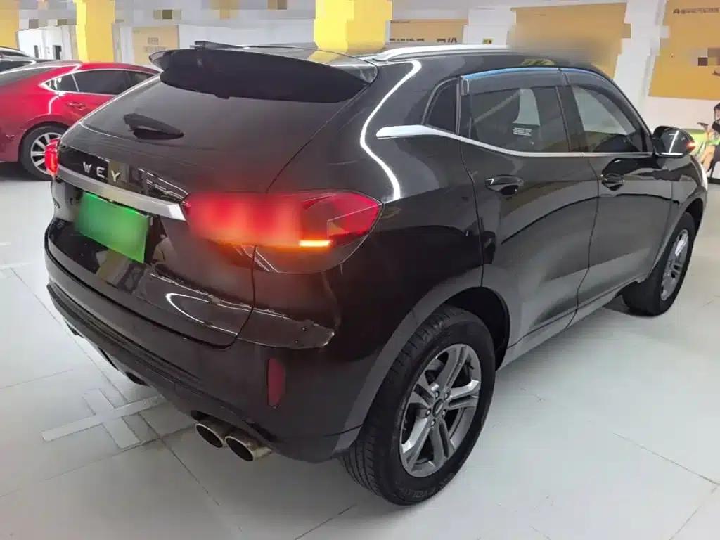 Weipai VV5 2019 2.0T Two-Wheel Drive Final Edition — миниатюра 7