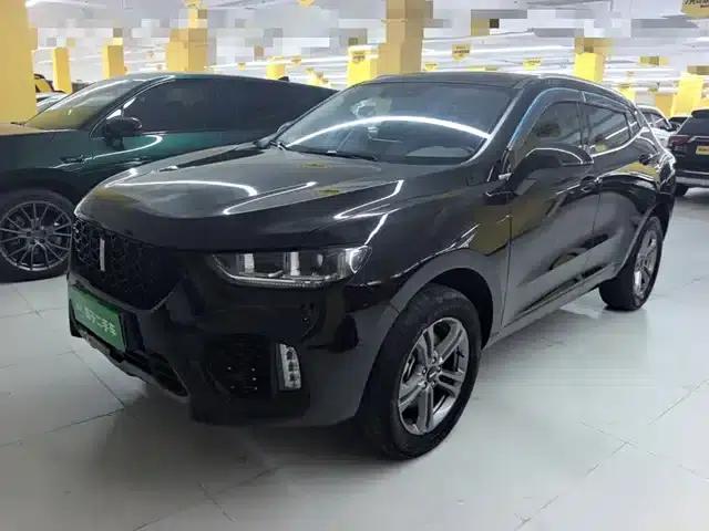 Weipai VV5 2019 2.0T Two-Wheel Drive Final Edition