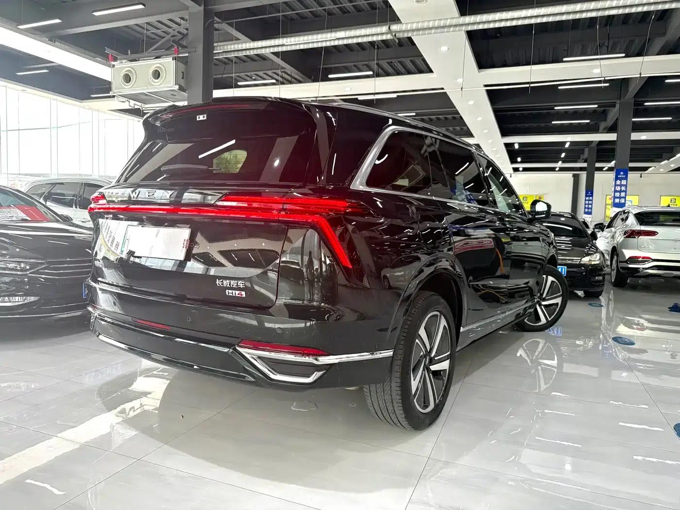 Weipai Blue Mountain 2025 4WD Max — миниатюра 7