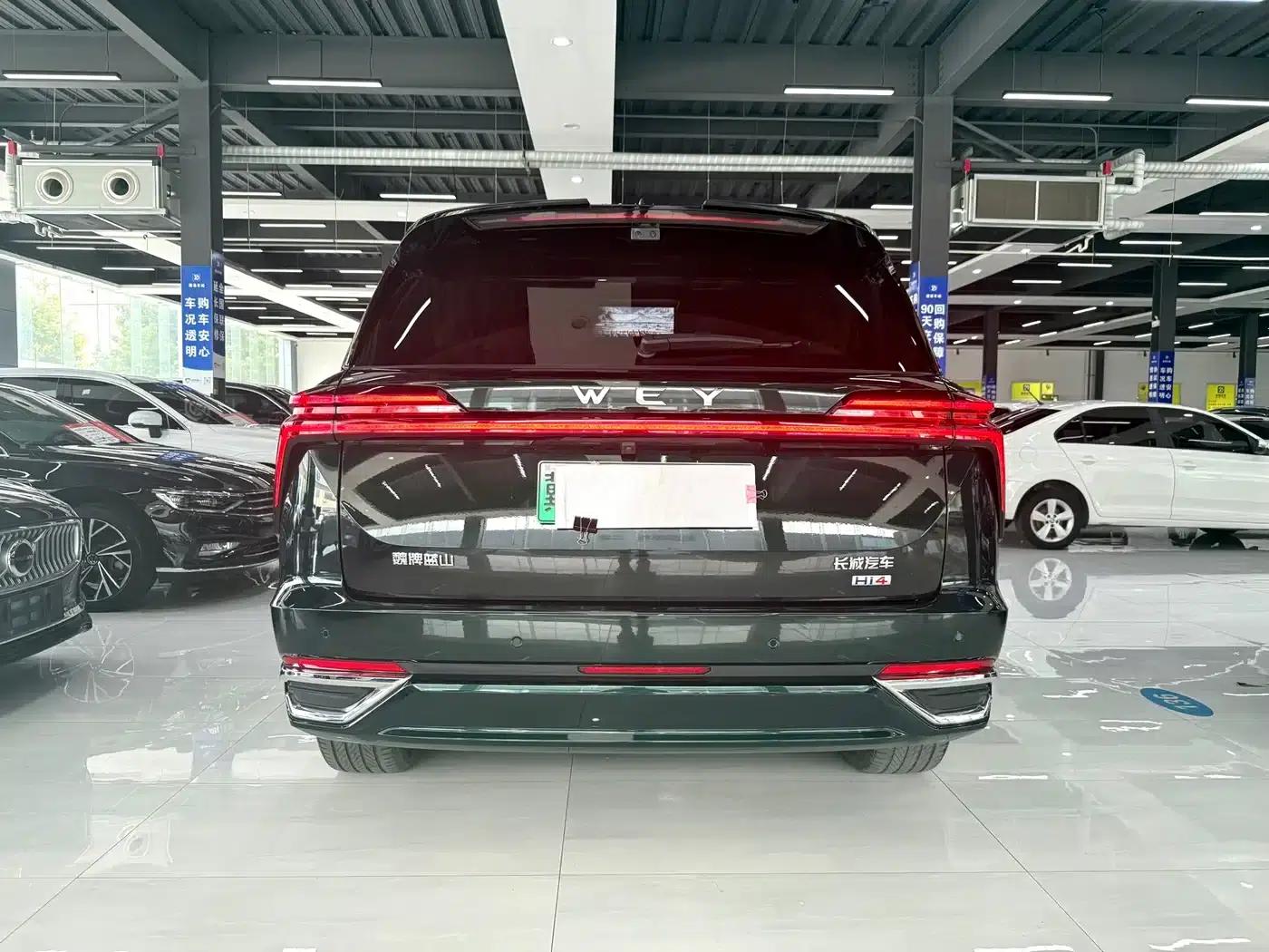Weipai Blue Mountain 2025 4WD Max — миниатюра 8