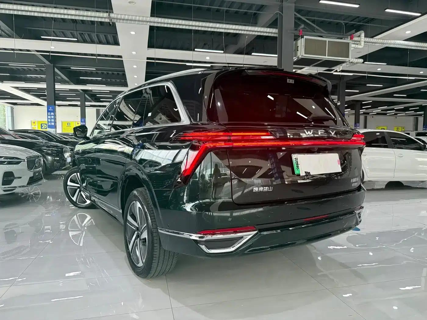 Weipai Blue Mountain 2025 4WD Max — миниатюра 9