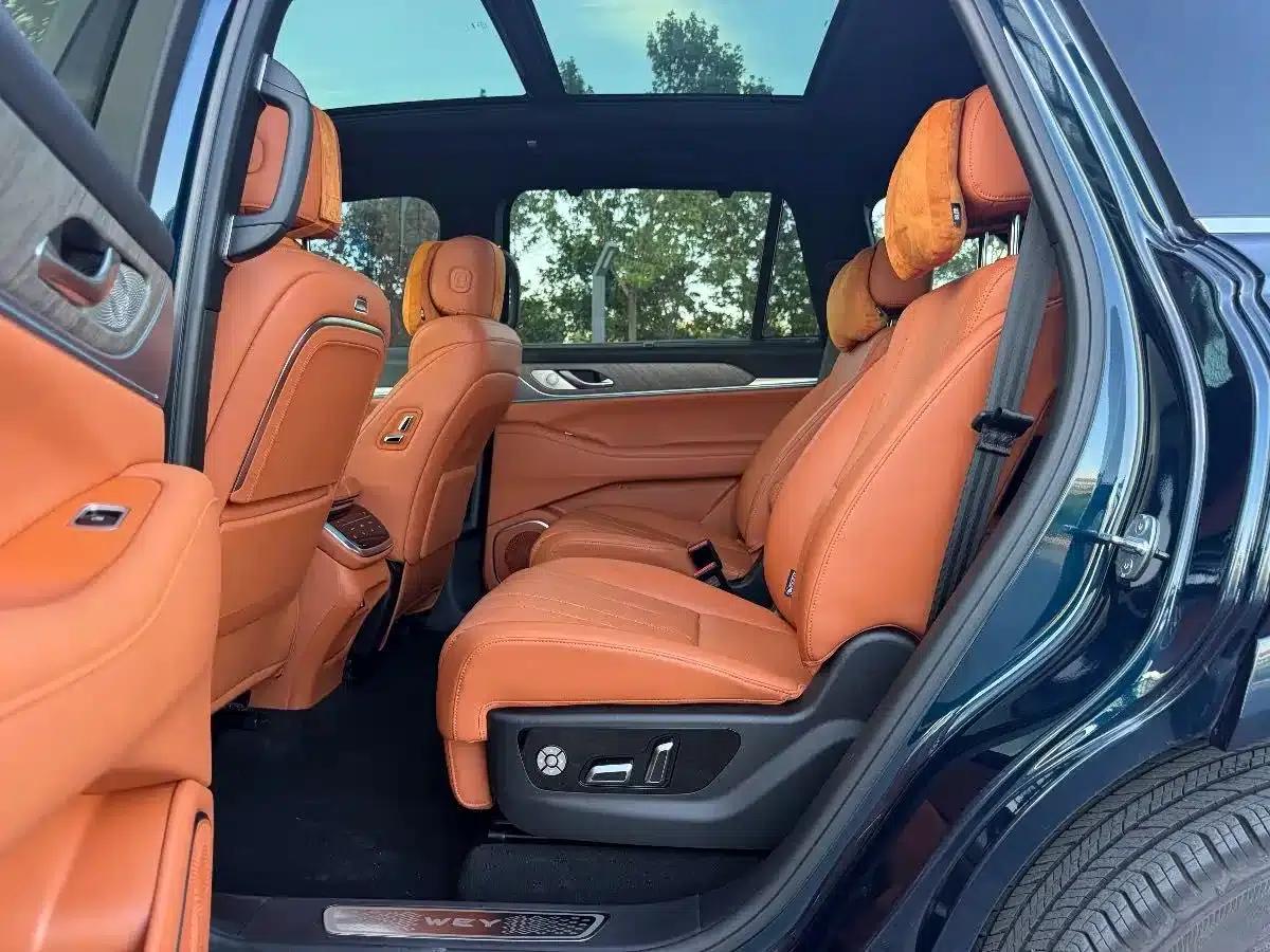 Weipai Lanshan 2023 Four-Wheel Drive Extended Range Edition — миниатюра 15