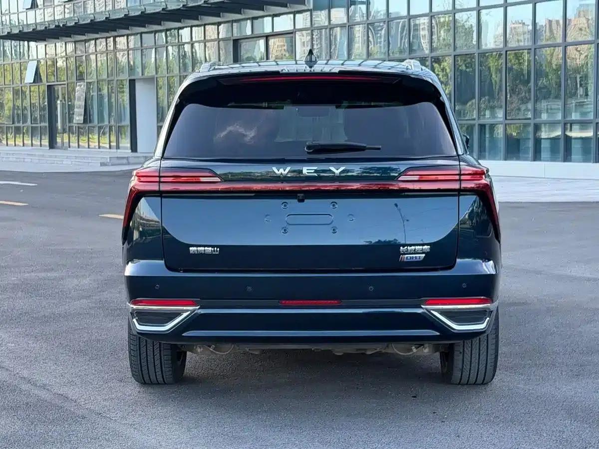 Weipai Lanshan 2023 Four-Wheel Drive Extended Range Edition — миниатюра 6