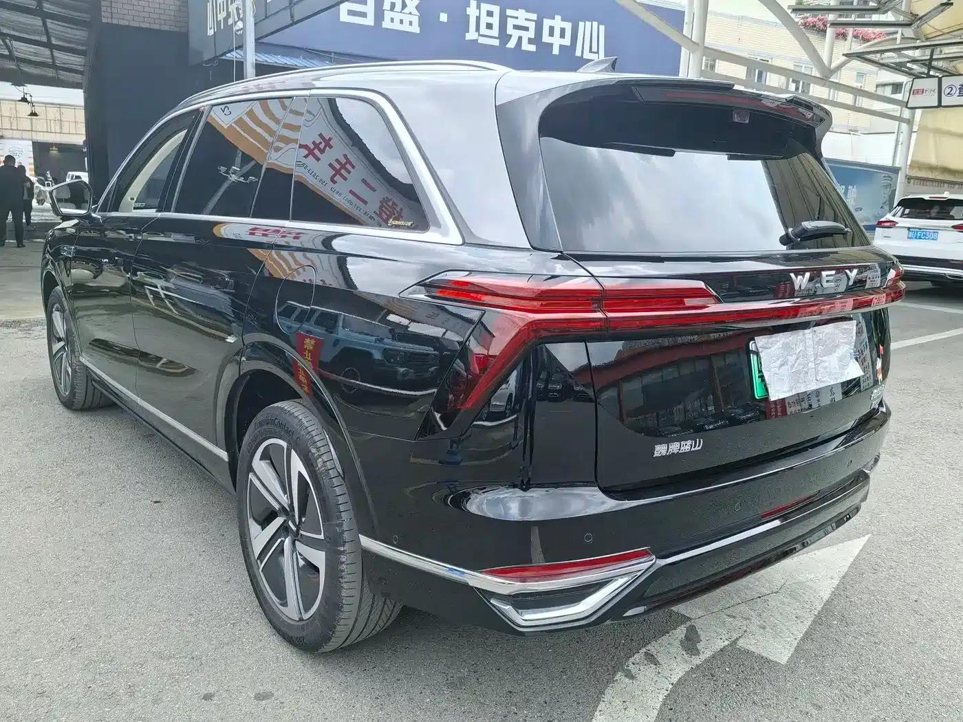 Weipai Blue Mountain 2025 4WD Max — миниатюра 11