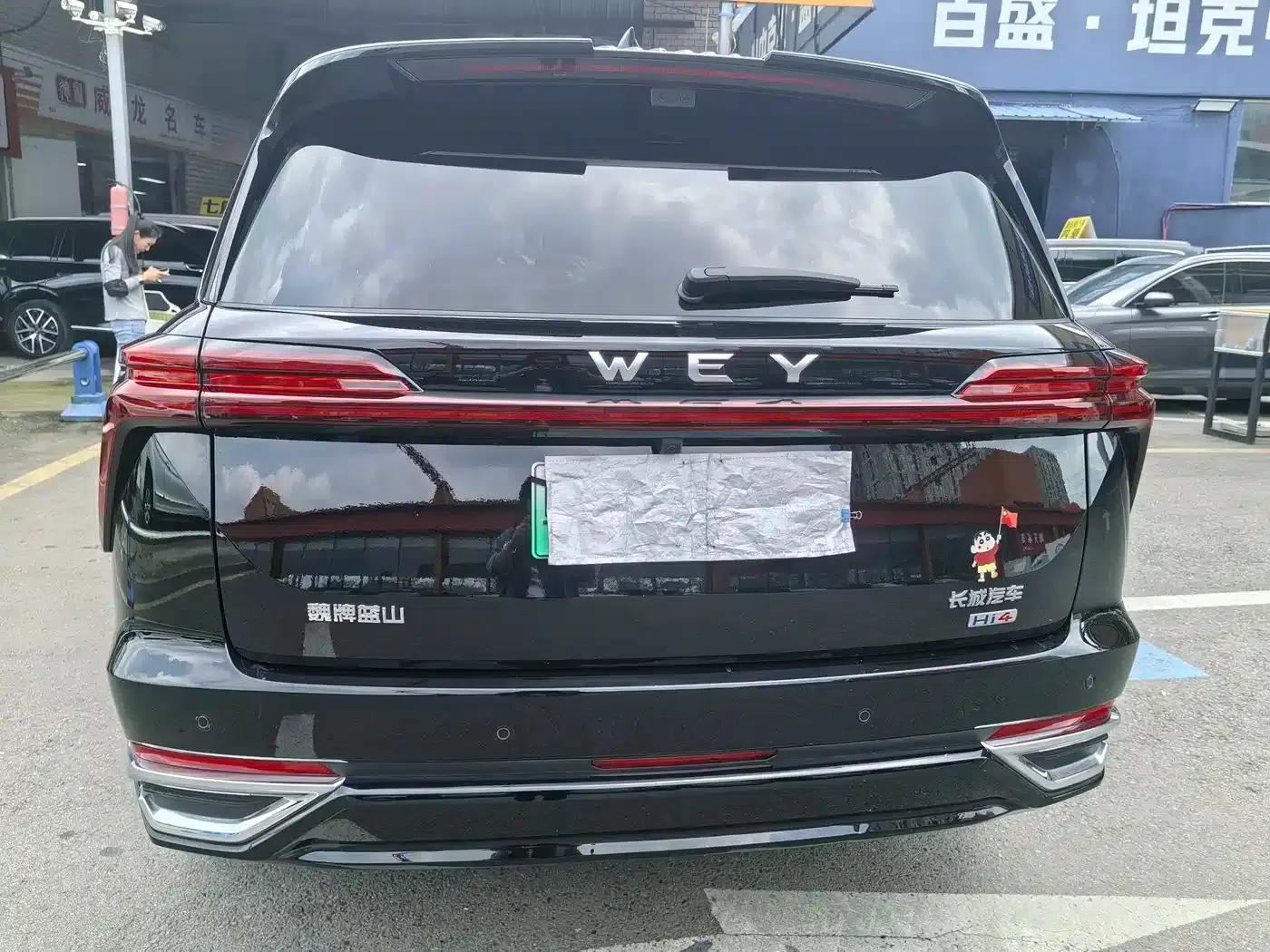 Weipai Blue Mountain 2025 4WD Max — миниатюра 12